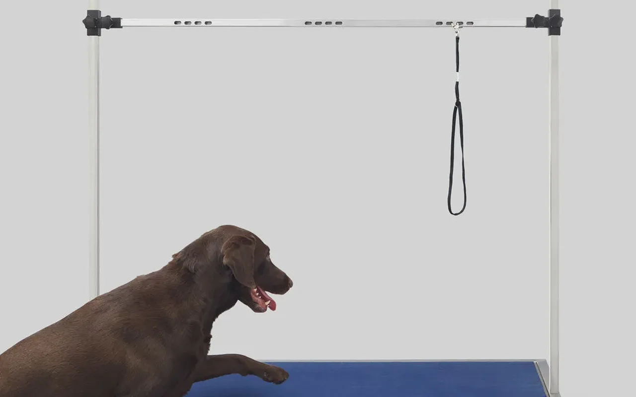 Rover's Edge website — pro pet grooming dryers and electric tables.